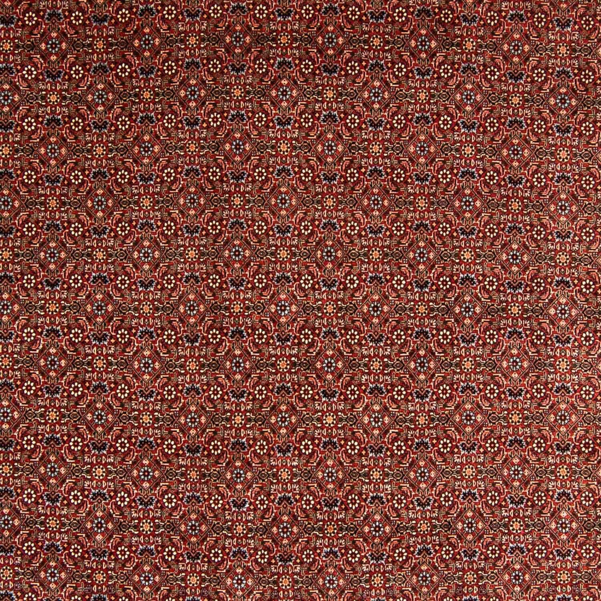 Tapis persan - Bidjar - 340 x 254 cm - rouge foncé