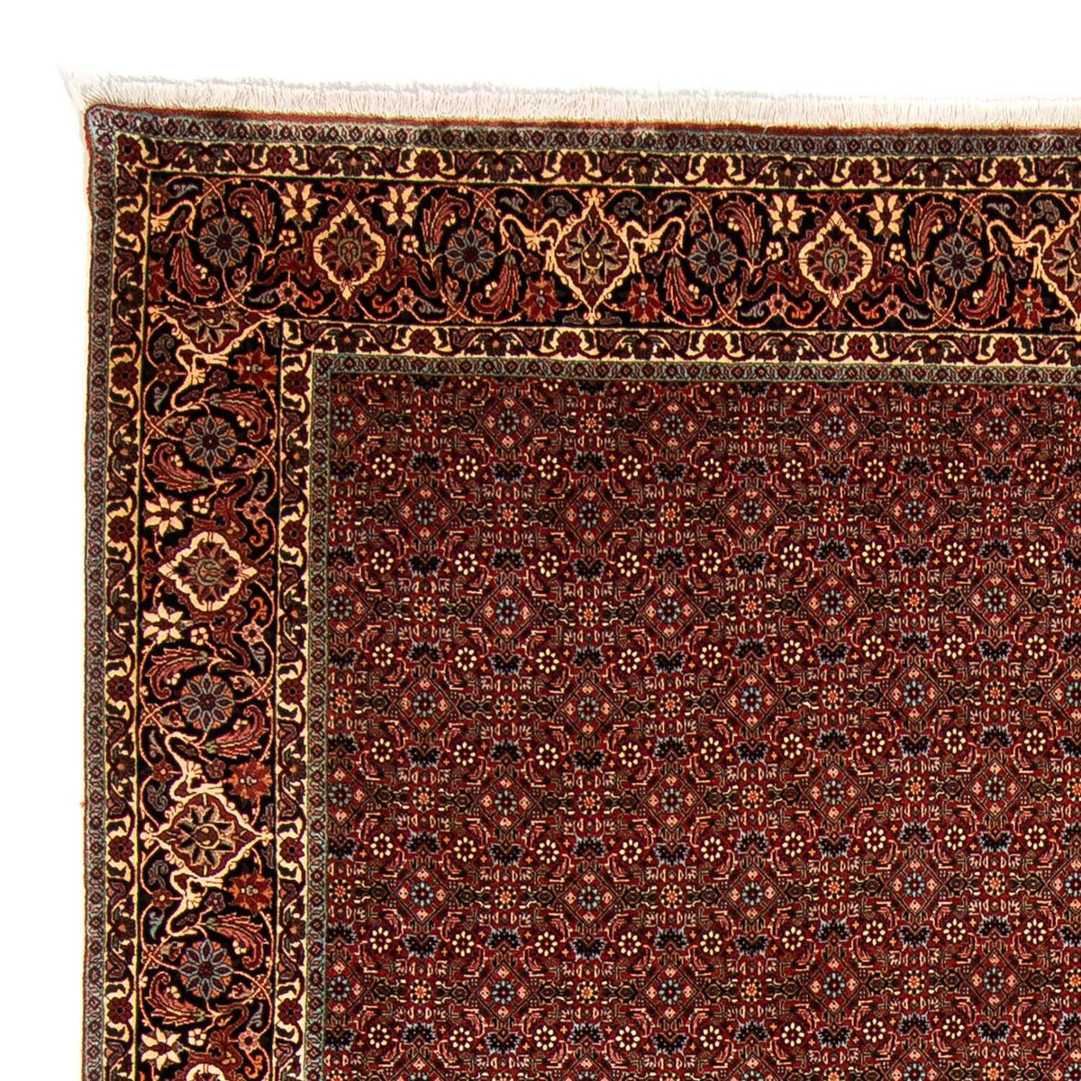 Tapis persan - Bidjar - 340 x 254 cm - rouge foncé