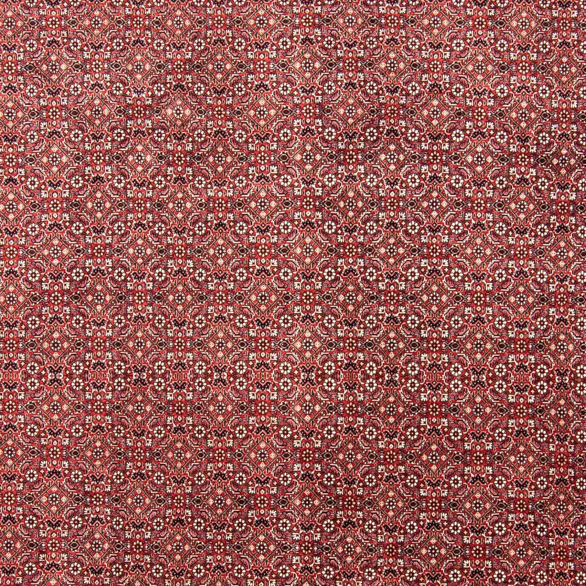 Tapis persan - Bidjar - 350 x 245 cm - rouge