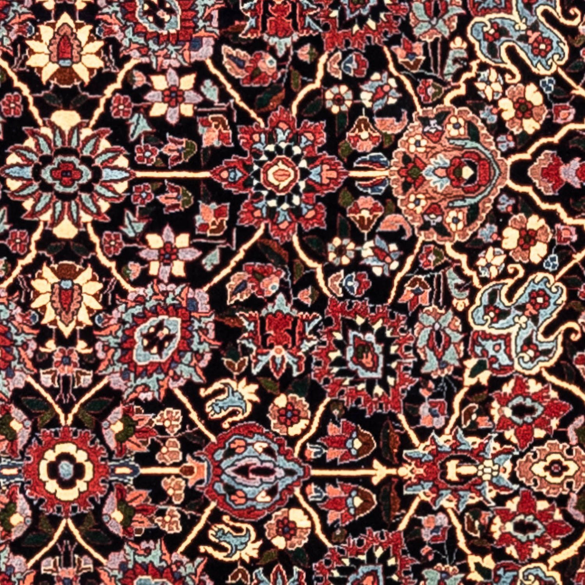 Tapis persan - Bidjar - 335 x 254 cm - noir