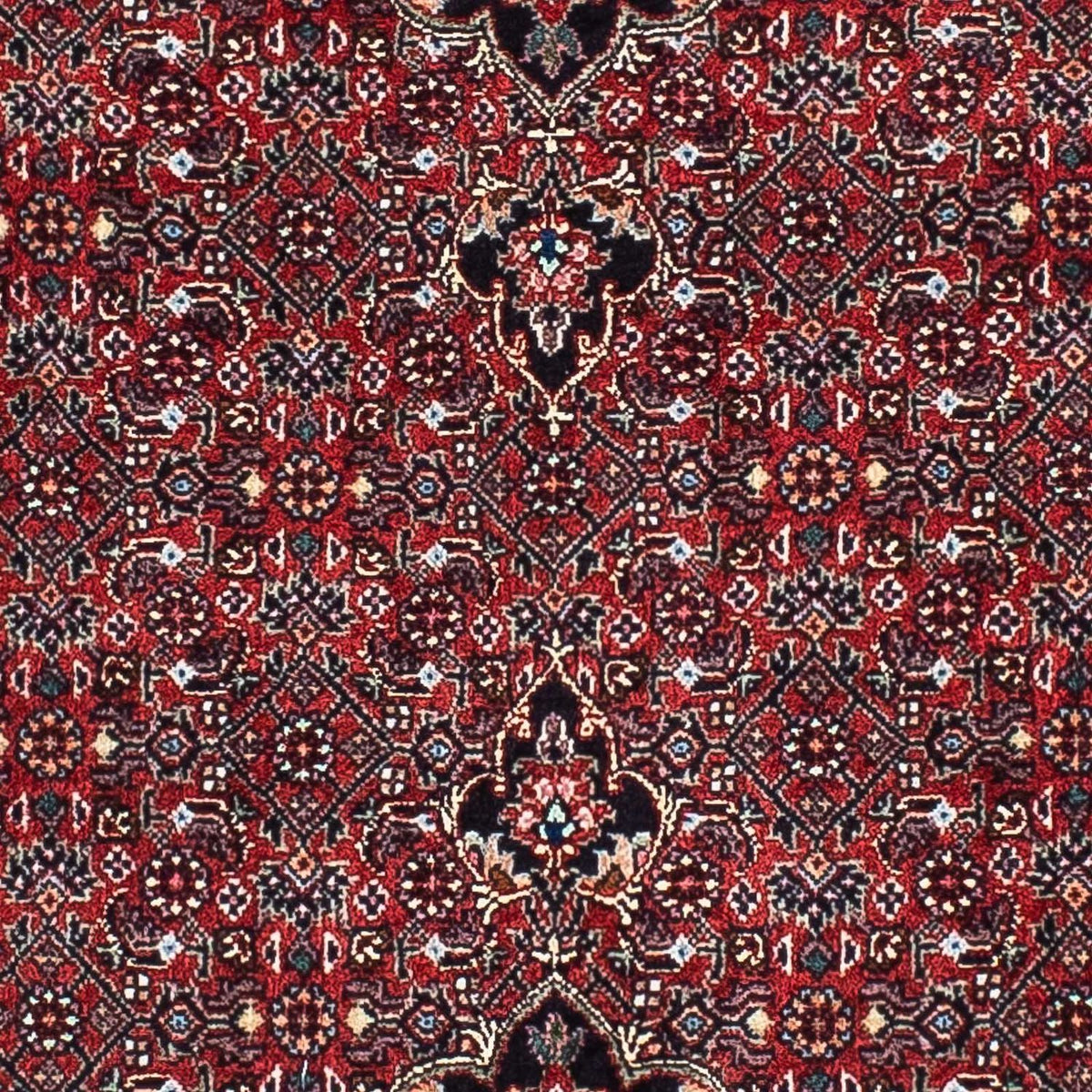 Tapis de couloir Tapis persan - Bidjar - 203 x 100 cm - rouge