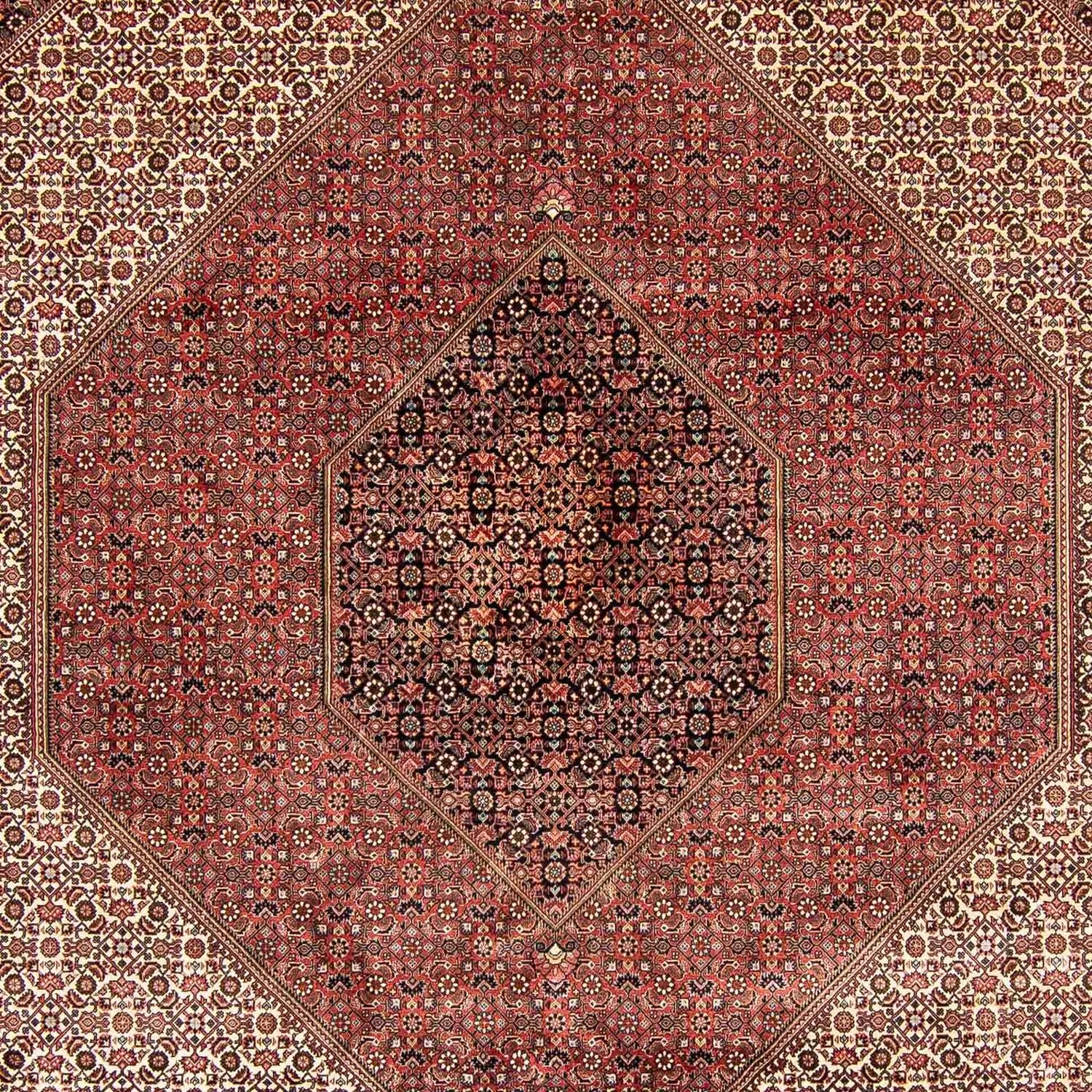 Tapis persan - Bidjar - 388 x 302 cm - marron