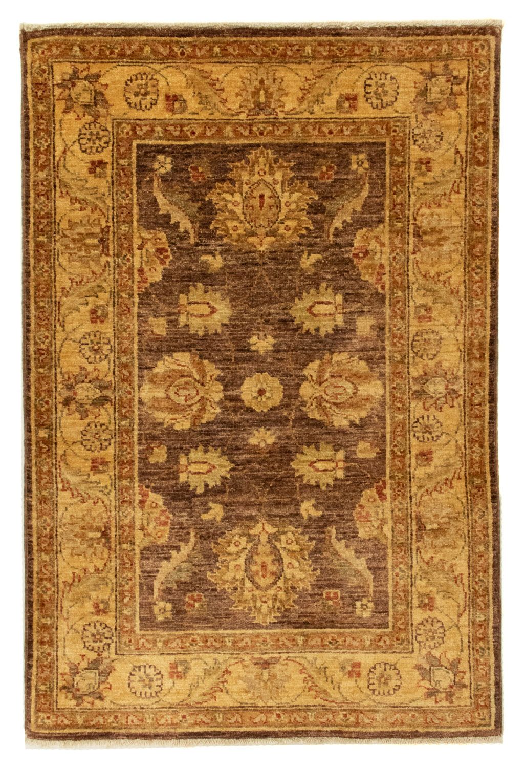 Tapis Ziegler - 116 x 76 cm - marron