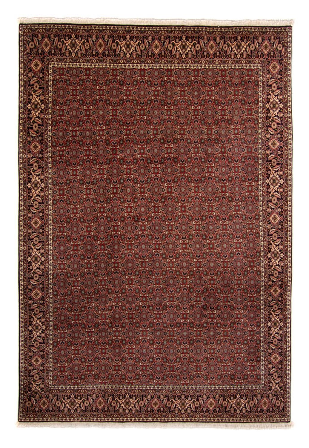 Tapis persan - Bidjar - 342 x 244 cm - marron