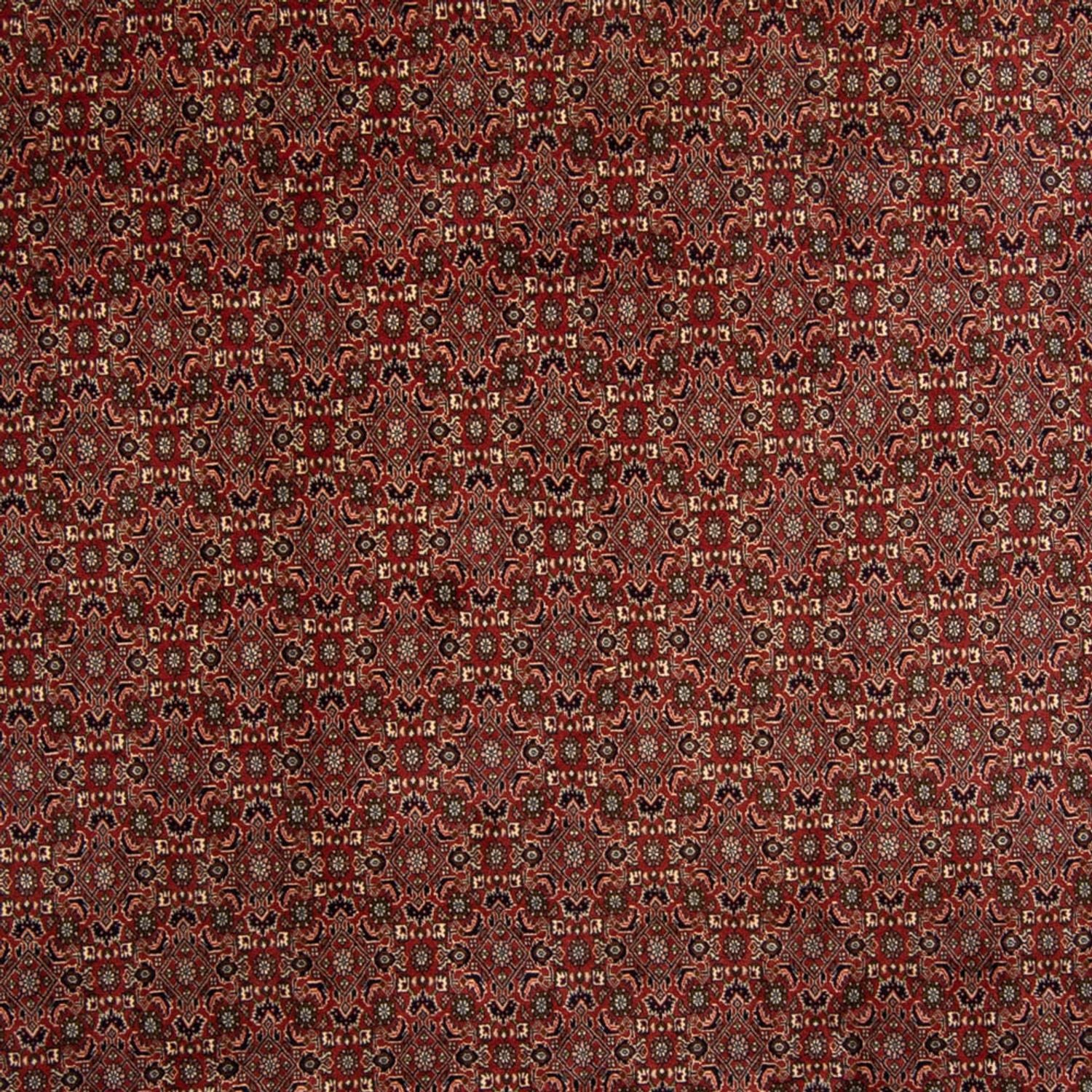 Tapis persan - Bidjar - 342 x 244 cm - marron