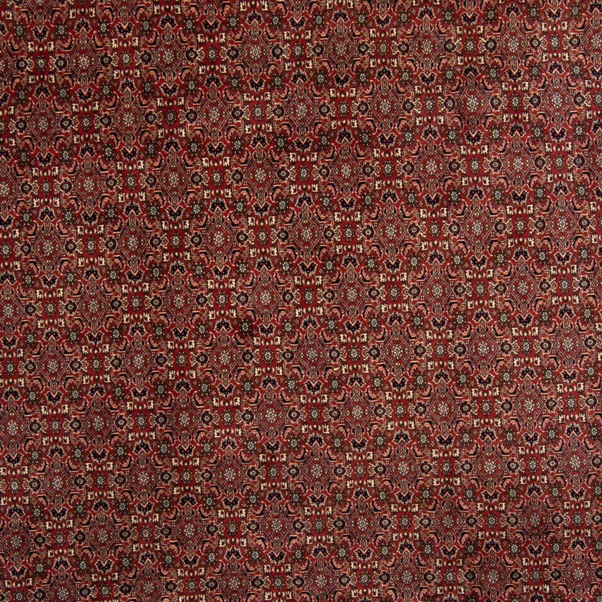 Tapis persan - Bidjar - 342 x 244 cm - marron