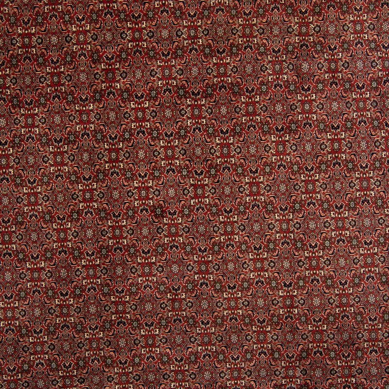 Tapis persan - Bidjar - 342 x 244 cm - marron