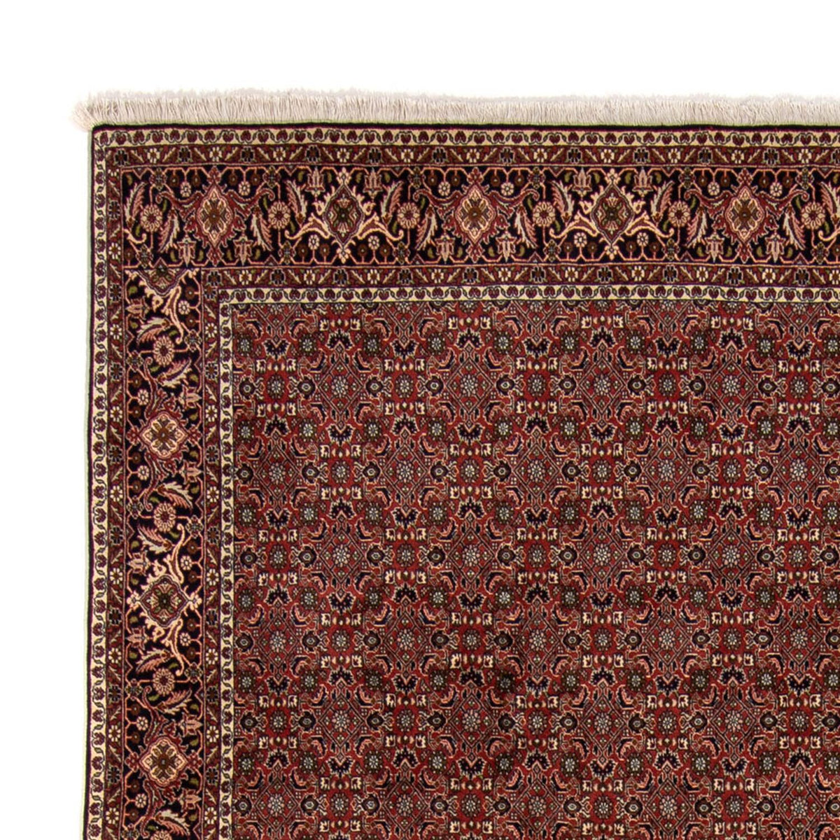 Tapis persan - Bidjar - 342 x 244 cm - marron