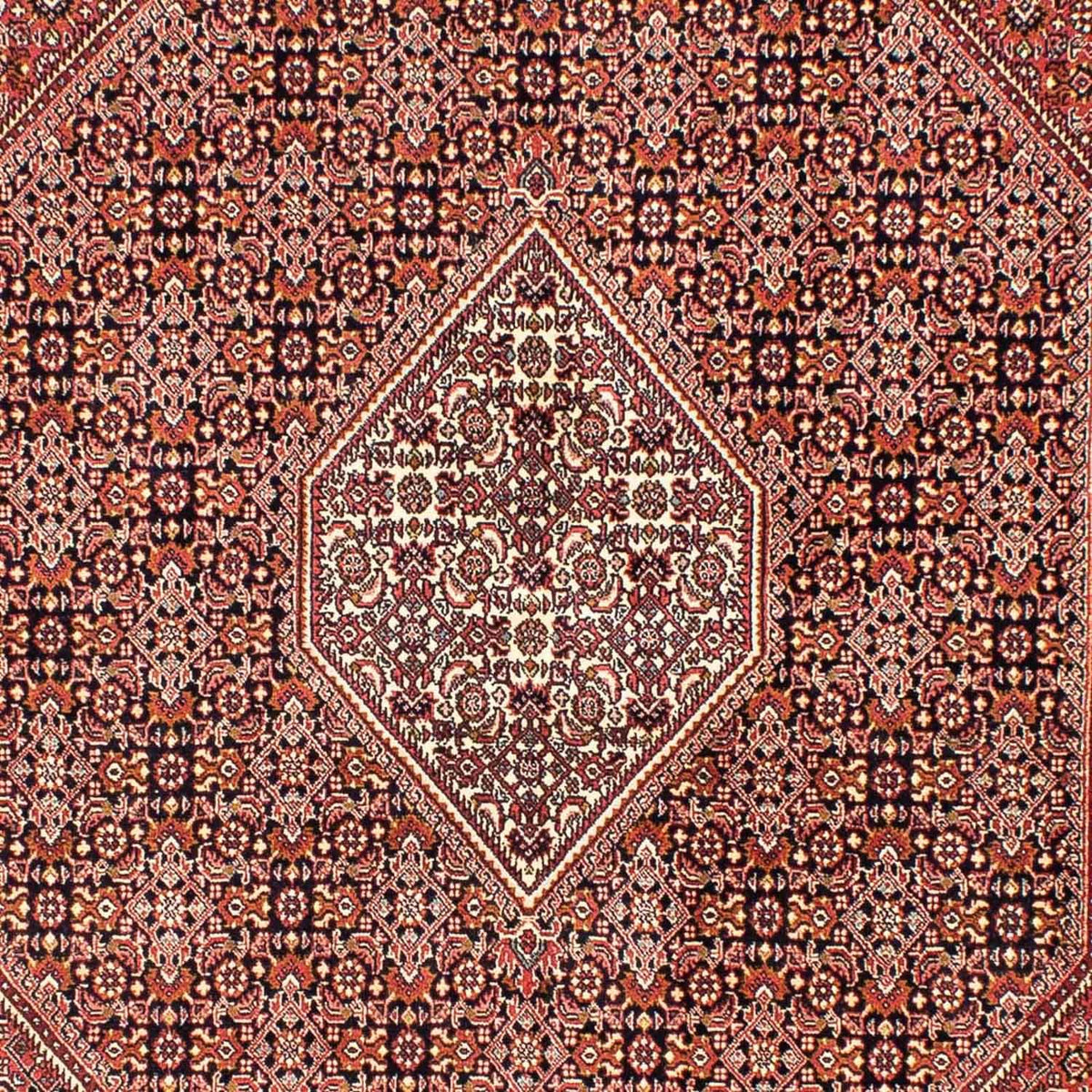 Tapis persan - Bidjar - 246 x 171 cm - rouge clair