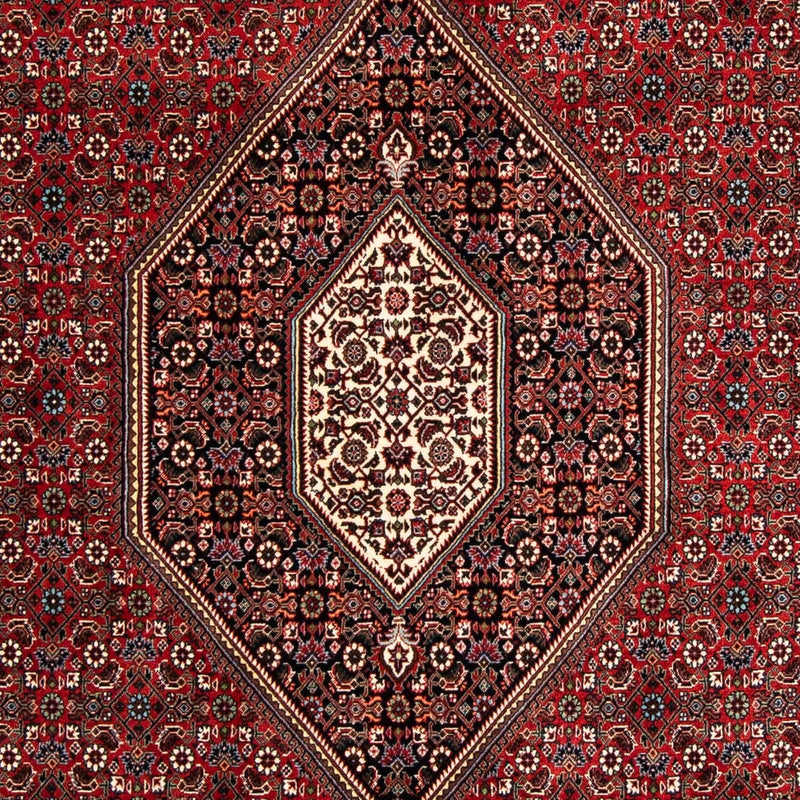 Tapis persan - Bidjar - 258 x 169 cm - rouge foncé