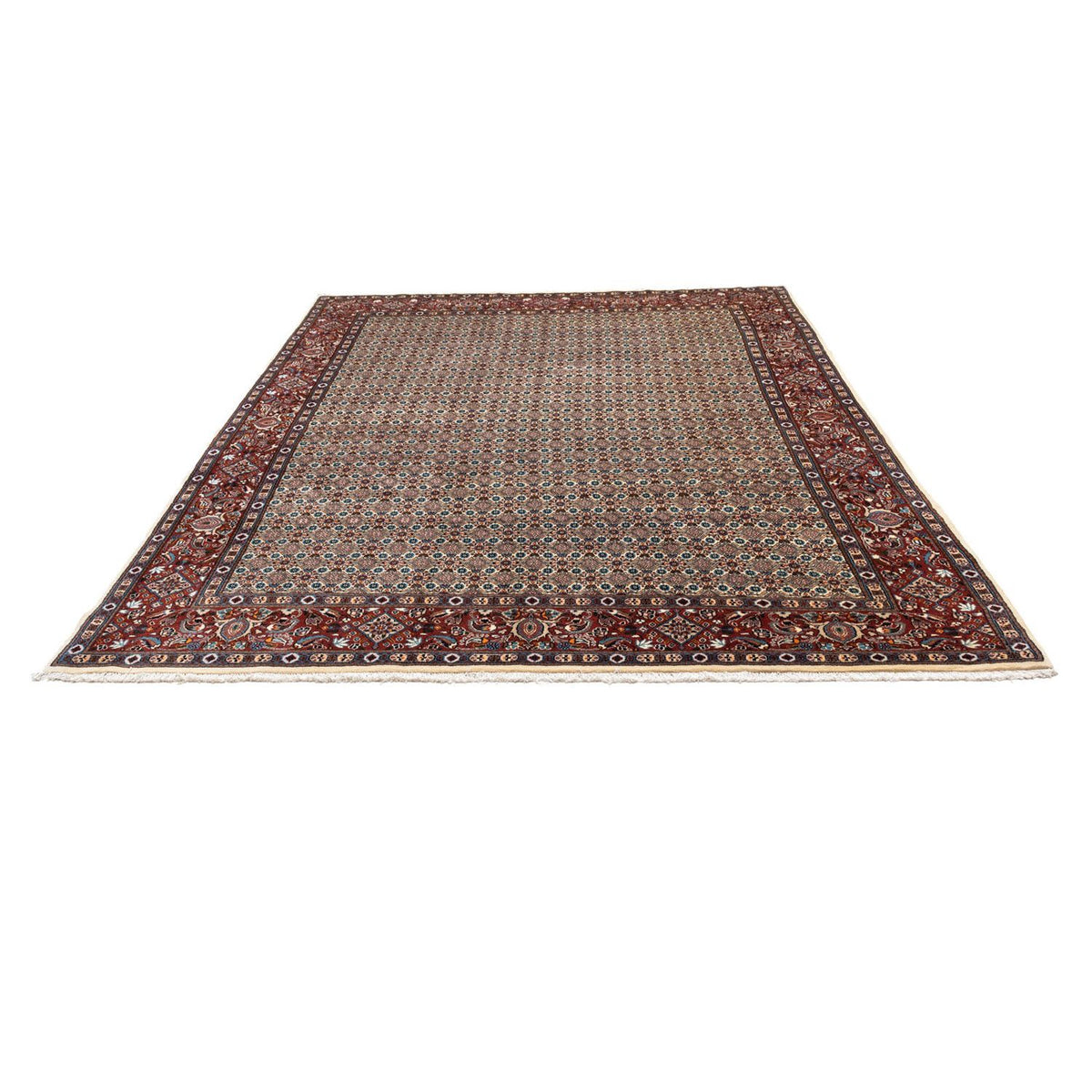 Tapis persan - Classique - 360 x 258 cm - beige