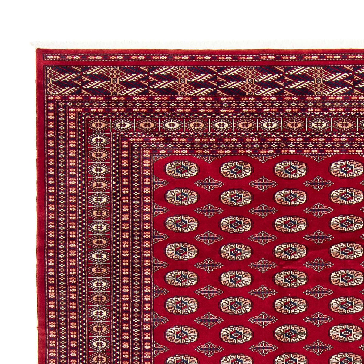Tapis de Boukhara Tapis 253x303cm - Tapis oriental