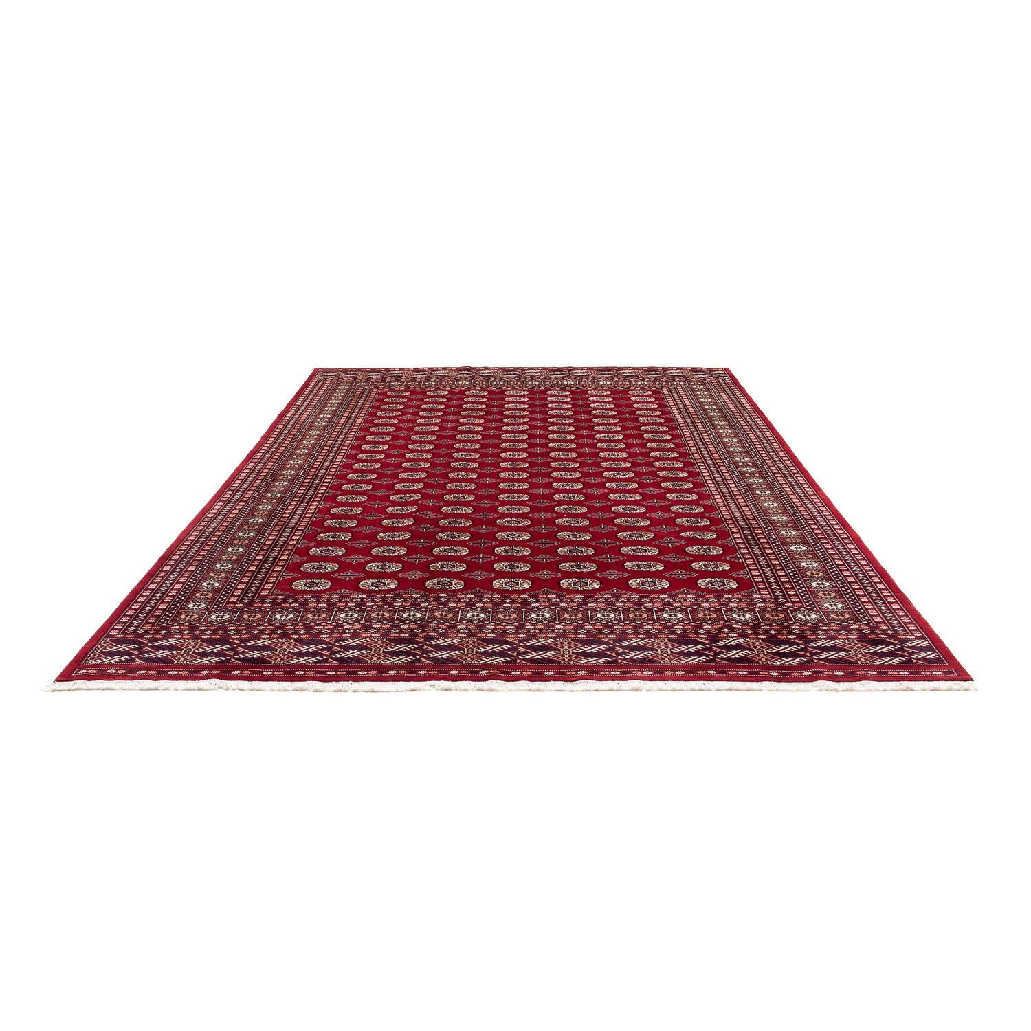 Tapis afghan - Boukhara - 303 x 253 cm - rouge