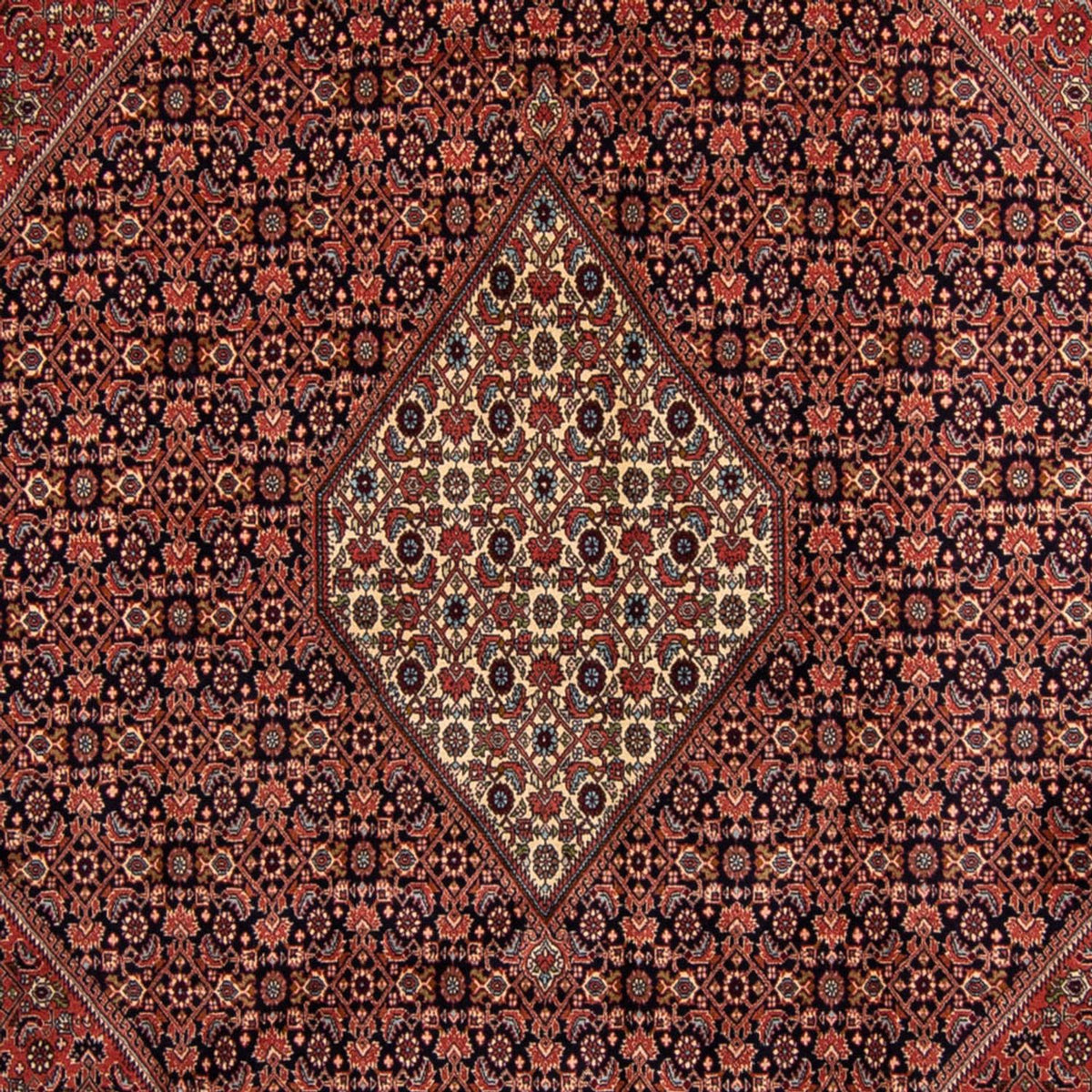 Tapis persan - Bidjar - 350 x 249 cm - marron
