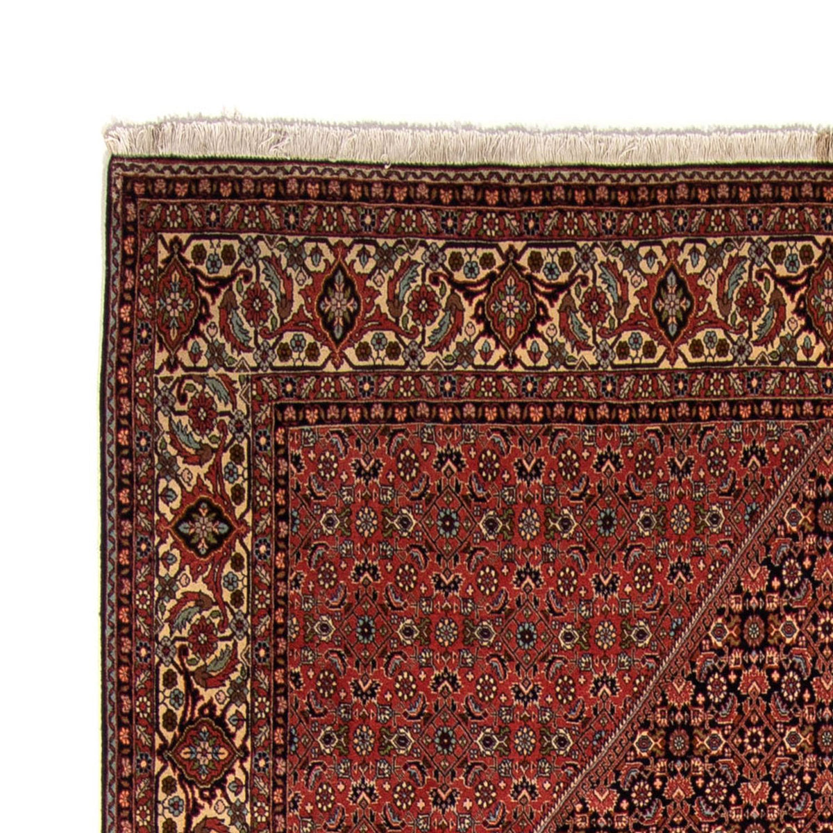 Tapis persan - Bidjar - 350 x 249 cm - marron