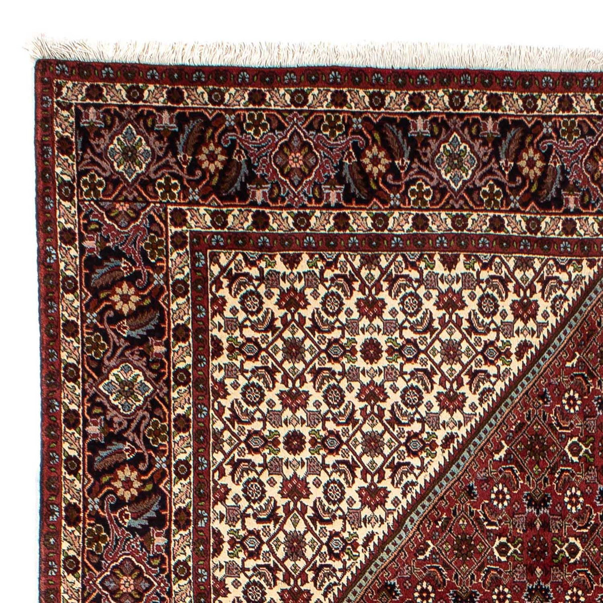 Tapis persan - Bidjar - 298 x 199 cm - marron