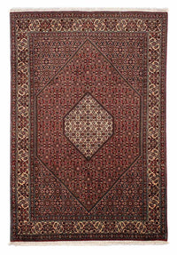 Tapis persan - Bidjar - 288 x 198 cm - marron