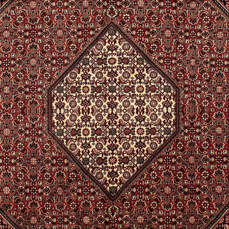 Tapis persan - Bidjar - 288 x 198 cm - marron