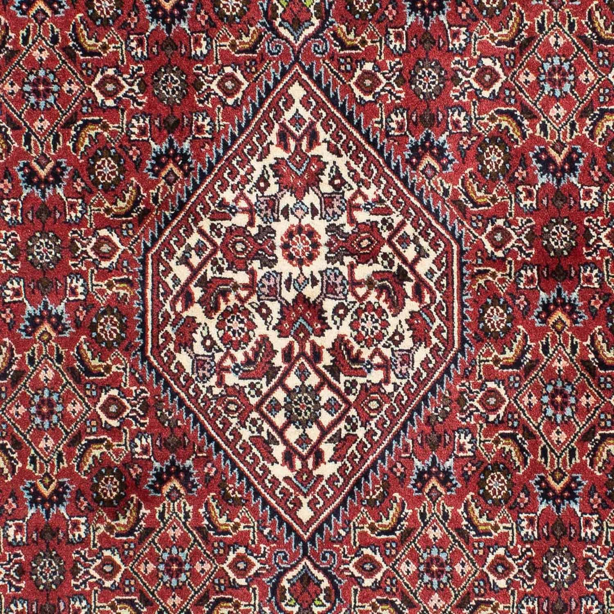 Tapis persan - Bidjar - 210 x 141 cm - rouge