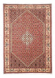 Tapis de Bidjar Tapis 252x173cm - Tapis persan