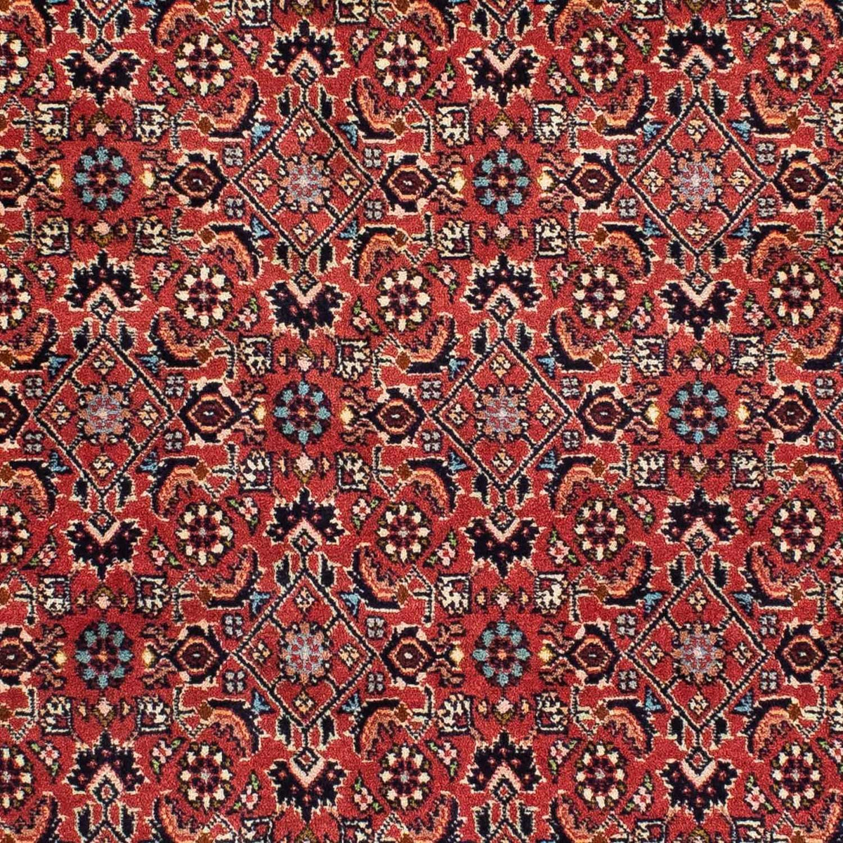 Tapis persan - Bidjar - 199 x 139 cm - rouge