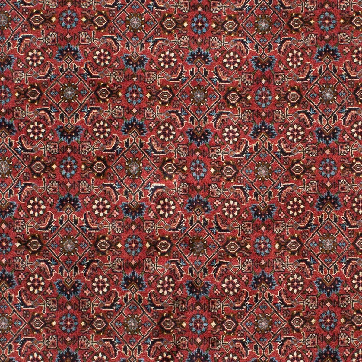 Tapis persan - Bidjar - 218 x 136 cm - rouge