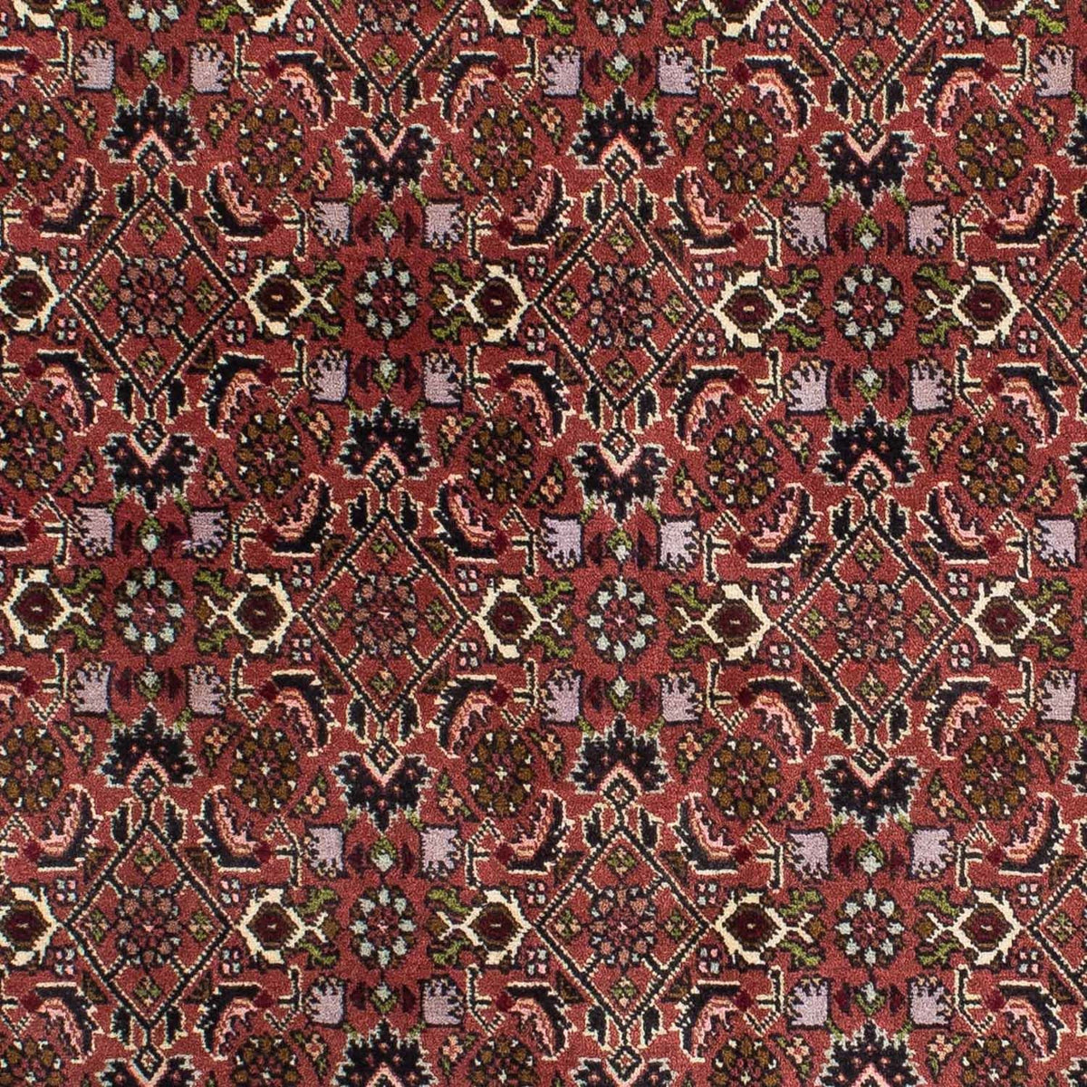 Tapis persan - Bidjar - 208 x 139 cm - rouge