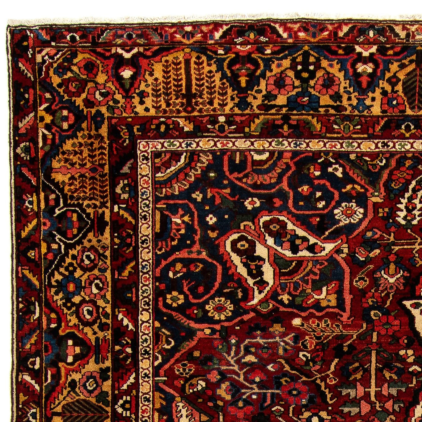 Tapis Bakhtiari Tapis 408x333cm - Tapis persan