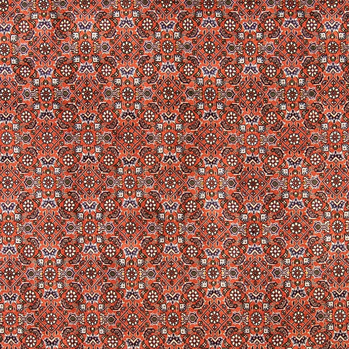 Tapis persan - Bidjar - 237 x 168 cm - rouge clair