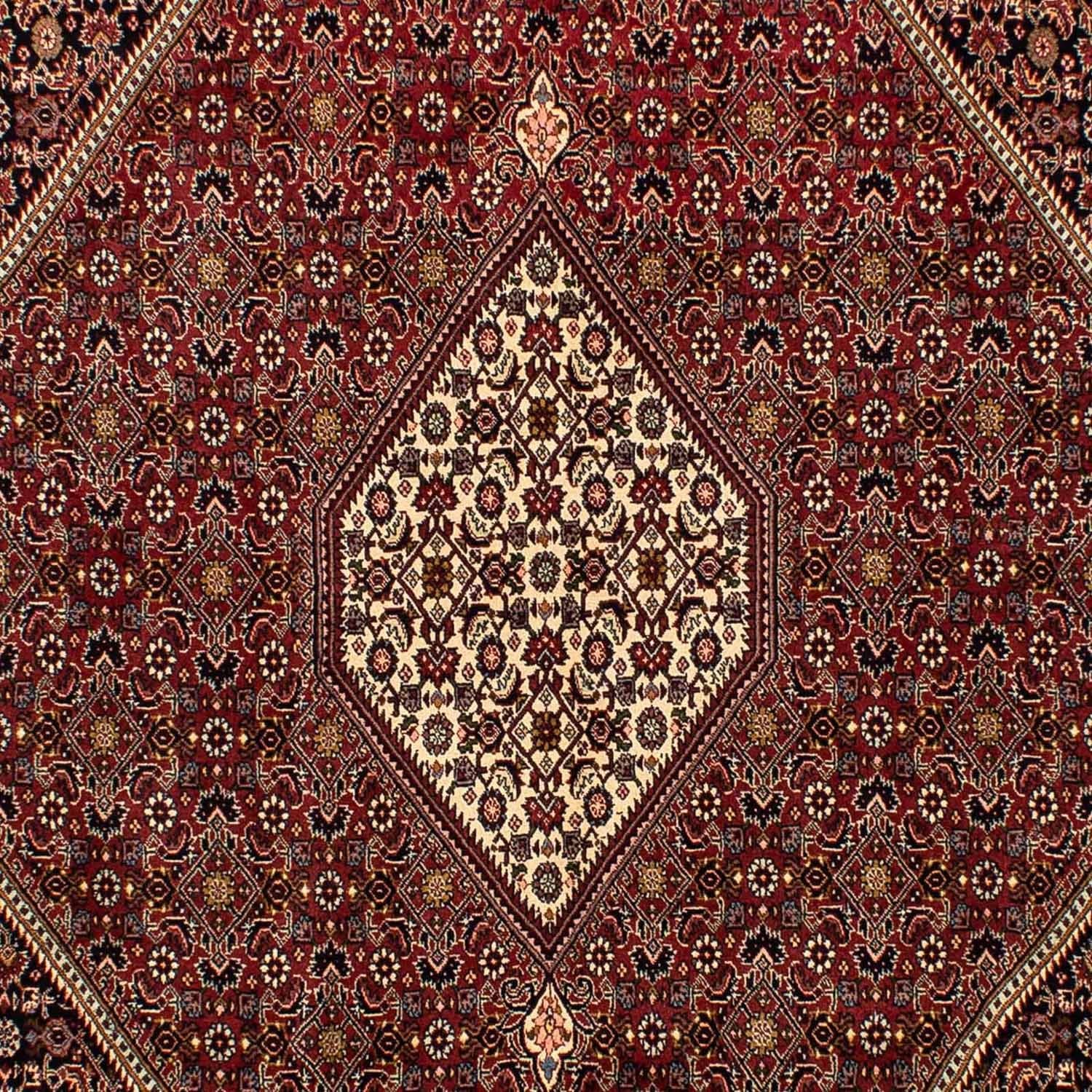 Tapis persan - Bidjar - 296 x 201 cm - marron