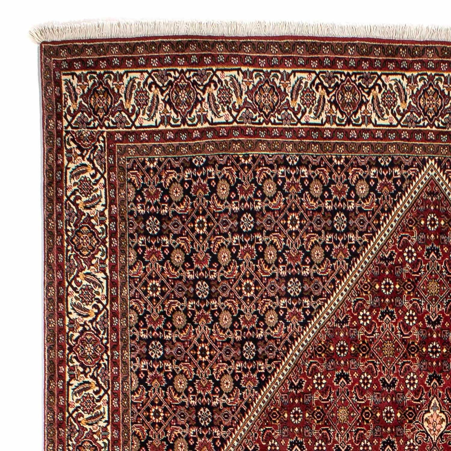Tapis persan - Bidjar - 296 x 201 cm - marron