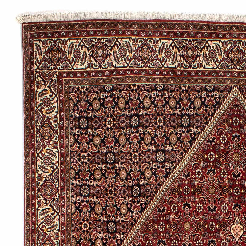 Tapis persan - Bidjar - 296 x 201 cm - marron