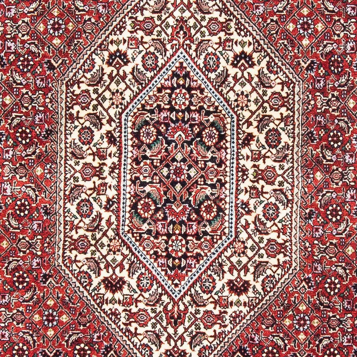 Tapis persan - Bidjar - 178 x 108 cm - rouge