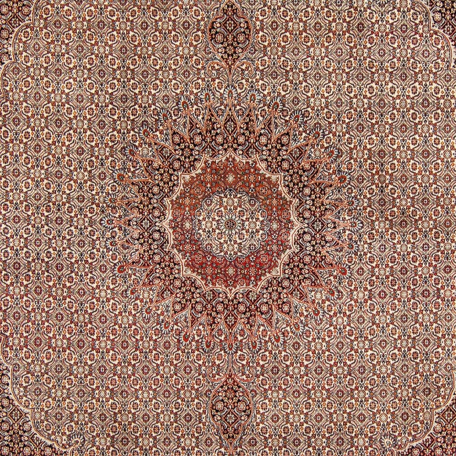 Tapis persan - Classique - 290 x 248 cm - marron foncé