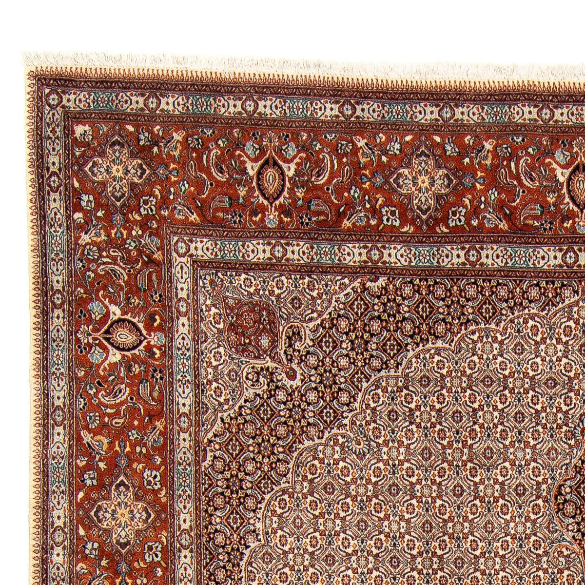 Tapis de Moud Tapis 248x290cm - Tapis persan