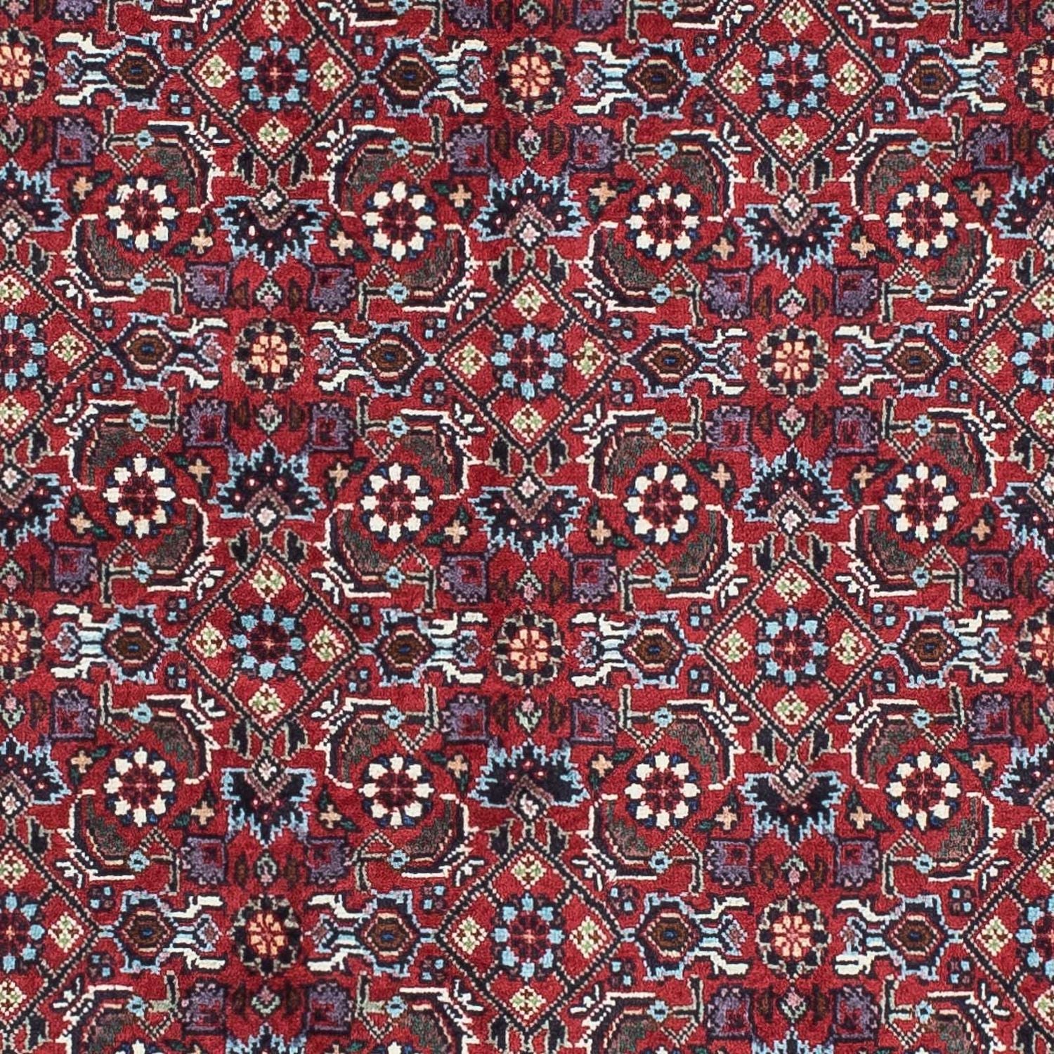 Tapis de couloir Tapis persan - Bidjar - 198 x 76 cm - rouge