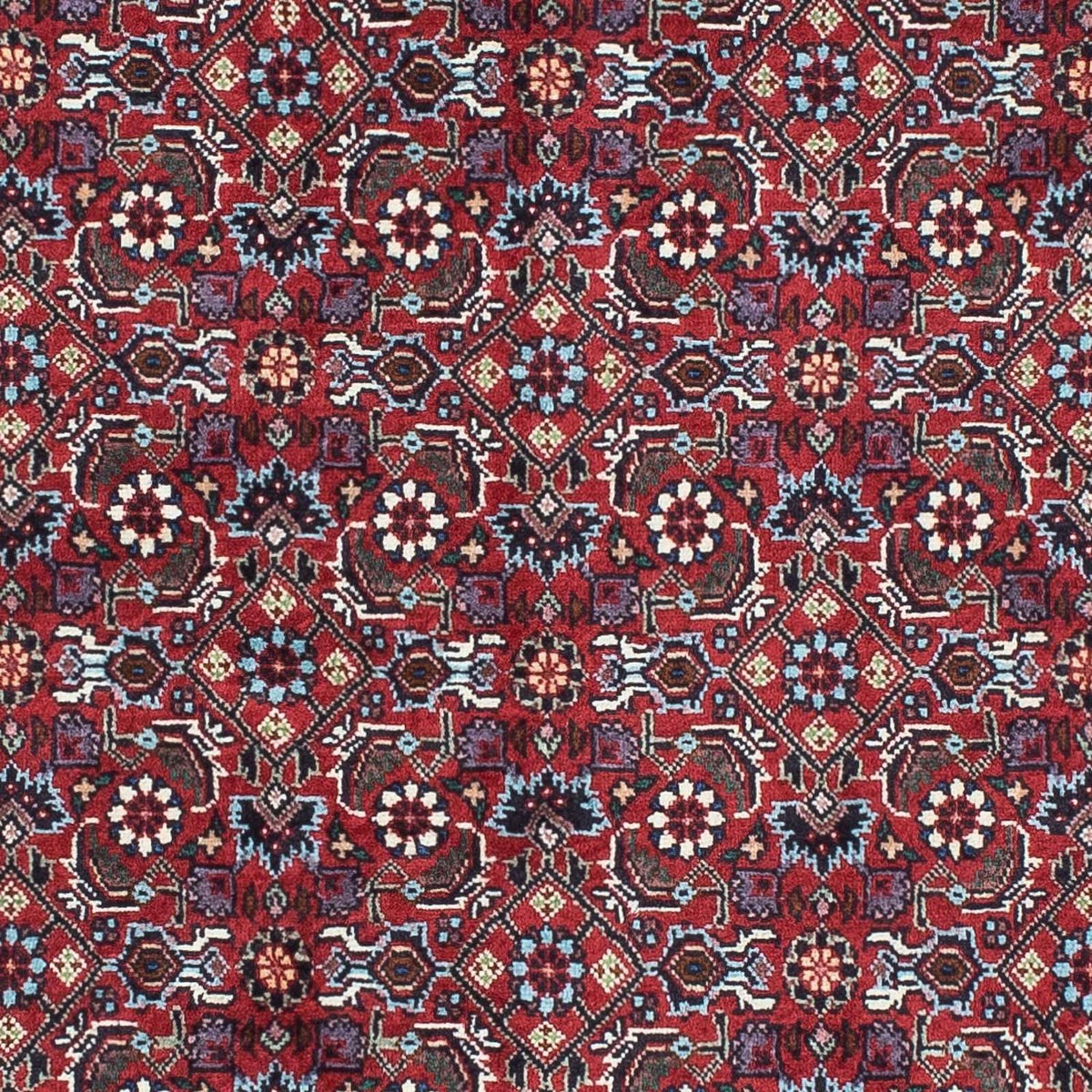 Tapis de couloir Tapis persan - Bidjar - 198 x 76 cm - rouge