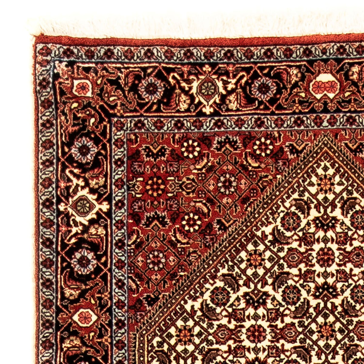 Tapis de couloir Tapis persan - Bidjar - 297 x 84 cm - multicolore