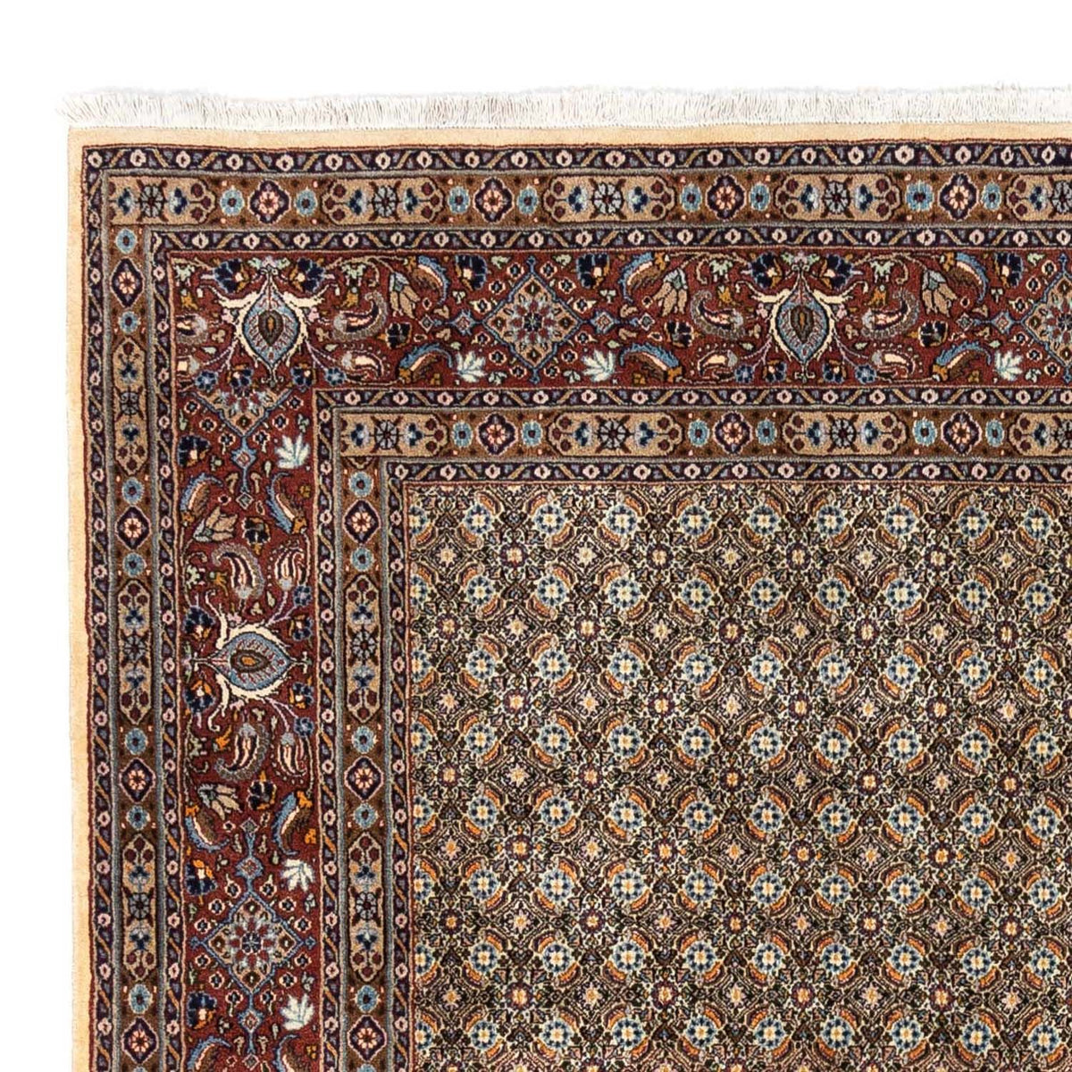 Tapis persan - Classique - 288 x 243 cm - beige