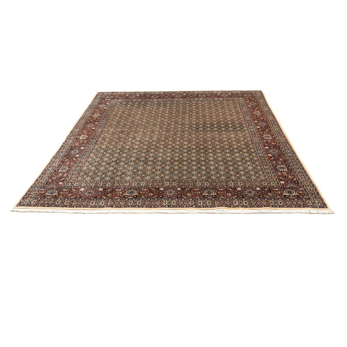 Tapis persan - Classique - 288 x 243 cm - beige