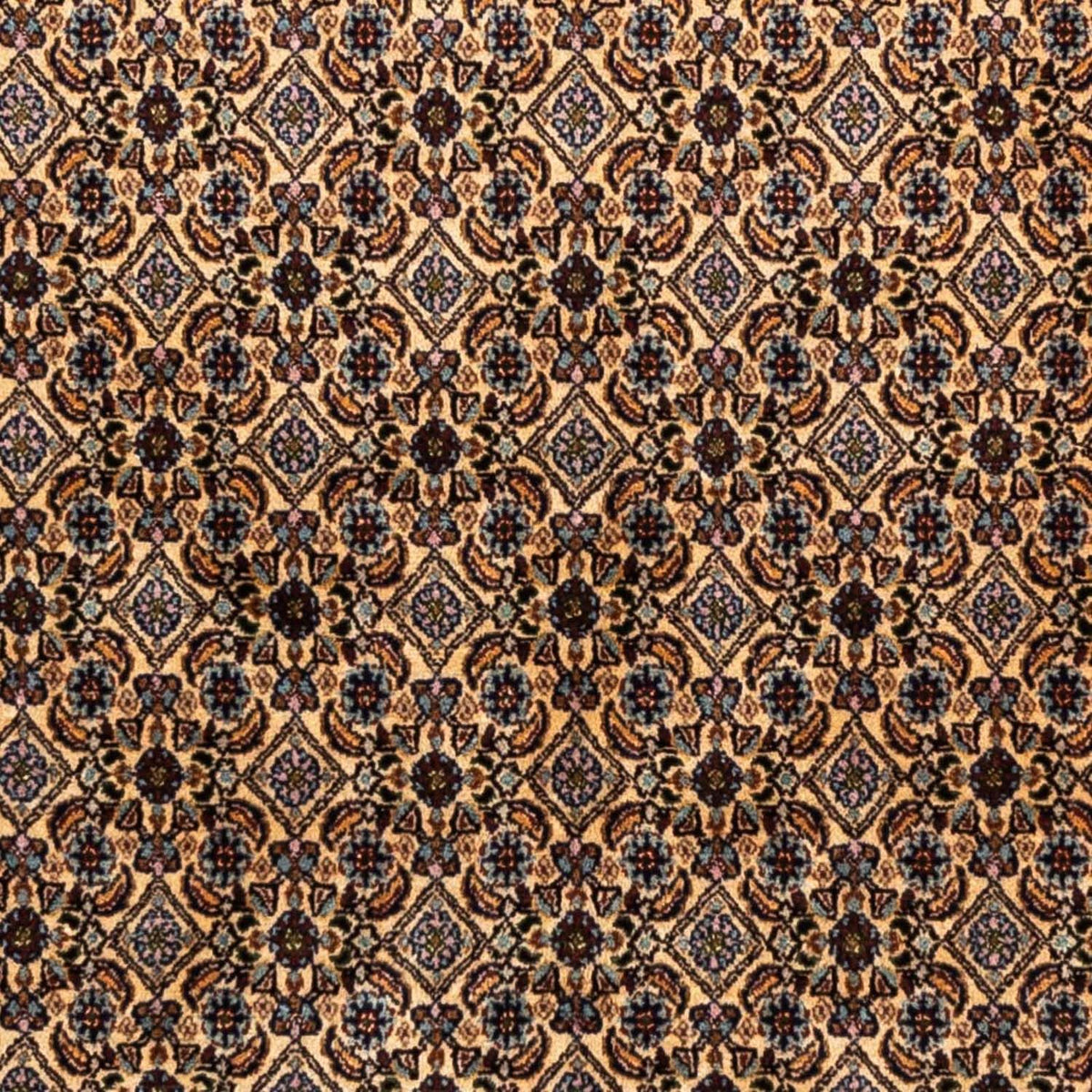Tapis persan - Classique - 245 x 160 cm - marron