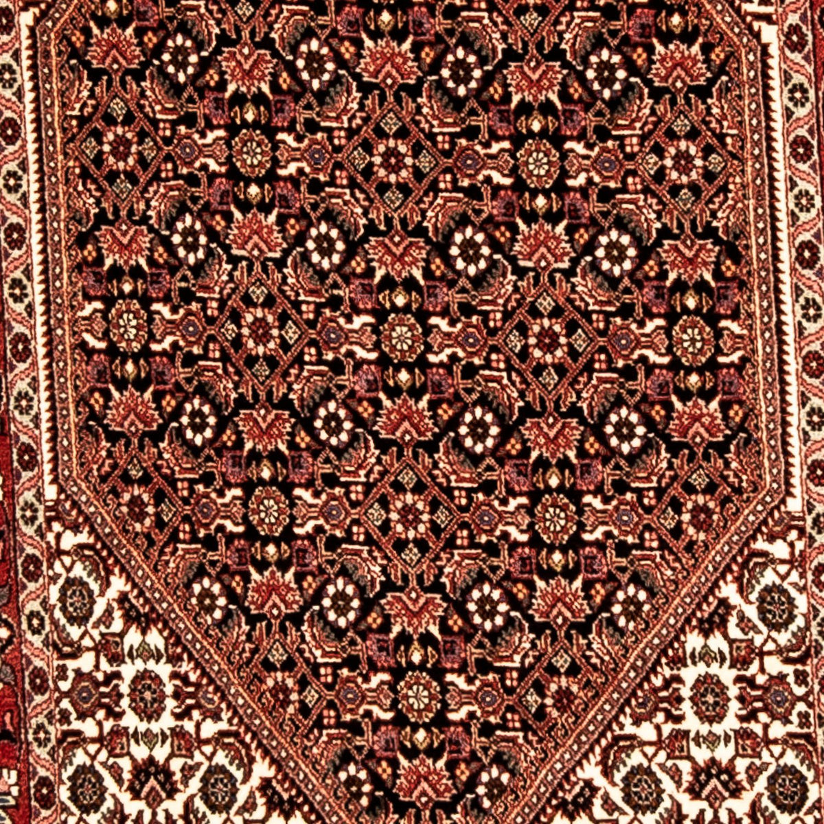 Tapis de couloir Tapis persan - Bidjar - 300 x 82 cm - multicolore