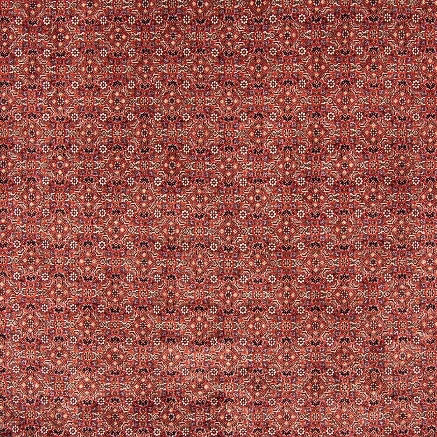 Tapis persan - Bidjar - 403 x 298 cm - rouge foncé
