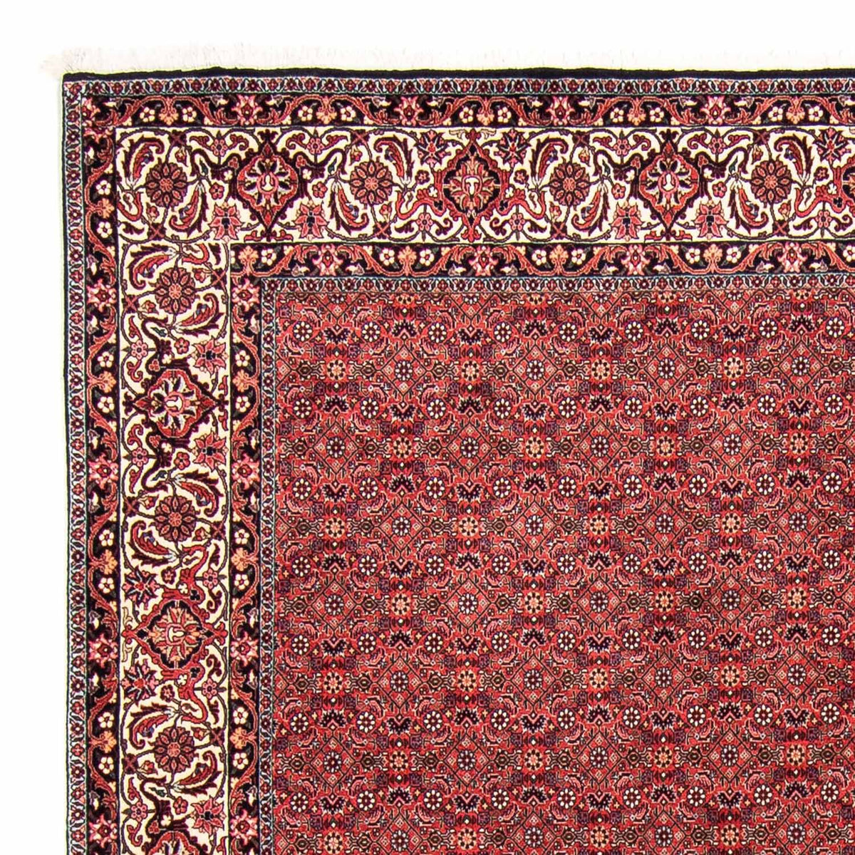 Tapis persan - Bidjar - 296 x 250 cm - rouge foncé
