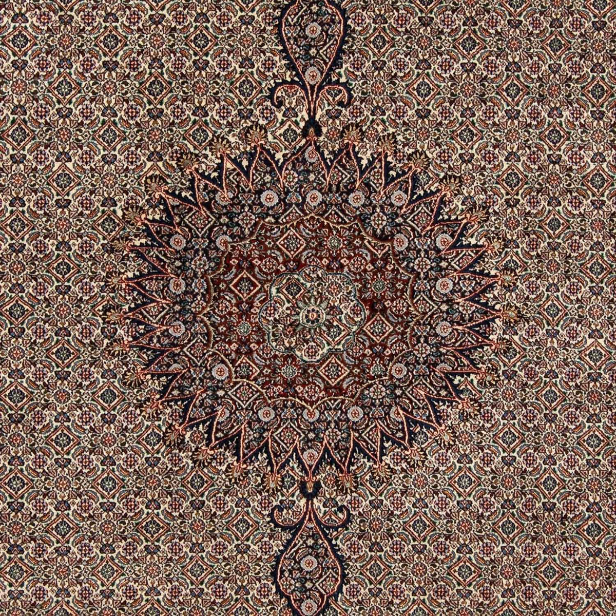 Tapis persan - Classique - 305 x 202 cm - beige