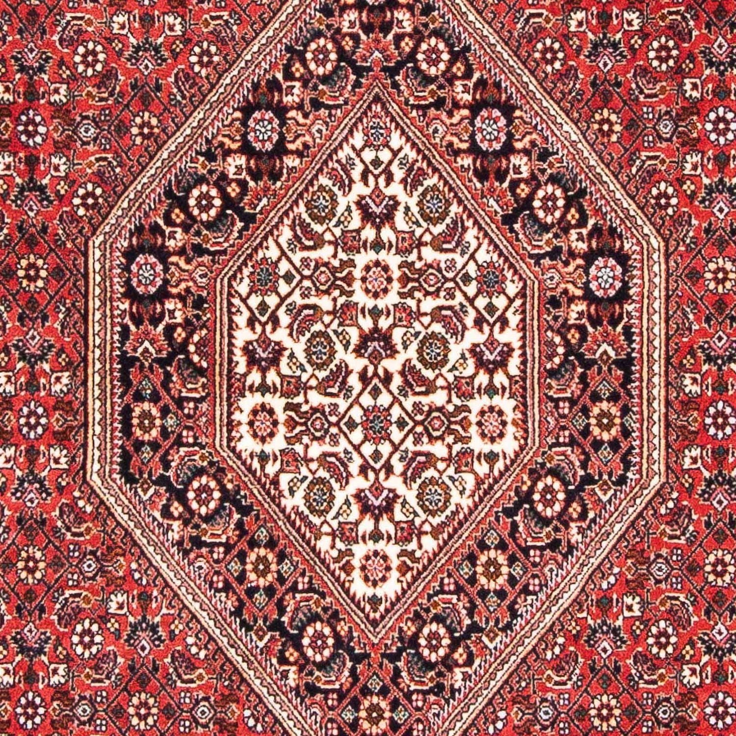 Tapis persan - Bidjar - 181 x 110 cm - rouge