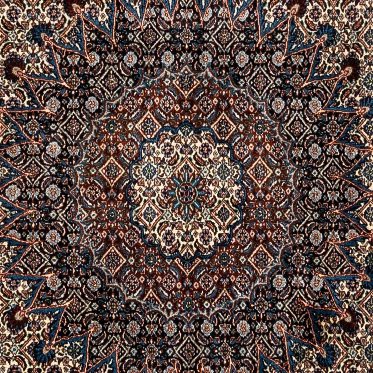 Tapis persan - Classique - 344 x 250 cm - beige