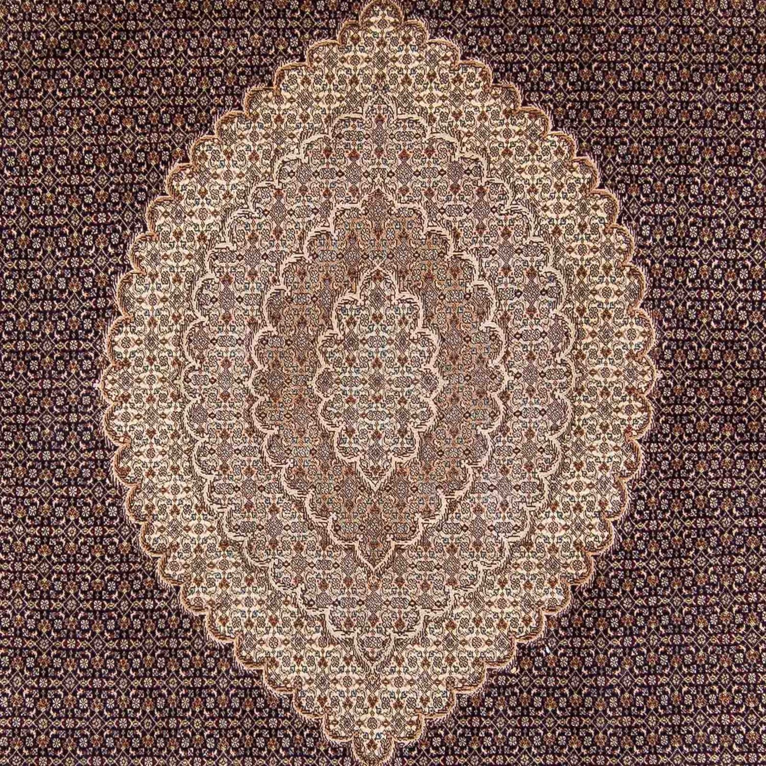 Tapis persan - Tabriz - 354 x 250 cm - marron clair