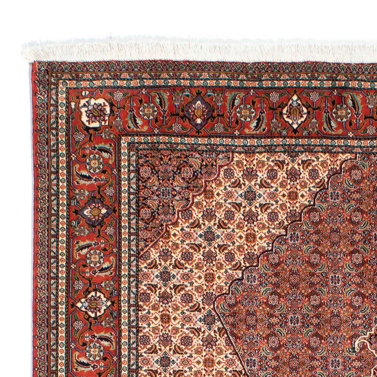 Tapis persan - Nomadic - 231 x 163 cm - rouille