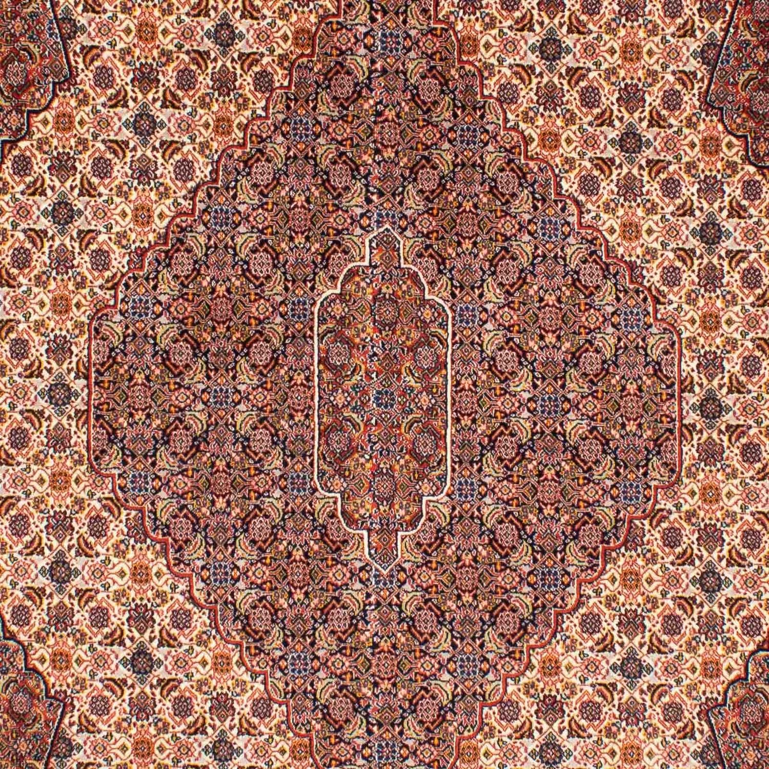 Tapis persan - Nomadic - 262 x 167 cm - marron